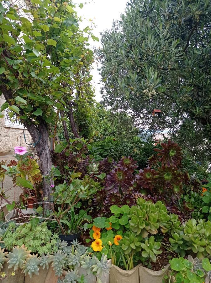 Adrian'S Apartments & Winery لومباردا المظهر الخارجي الصورة