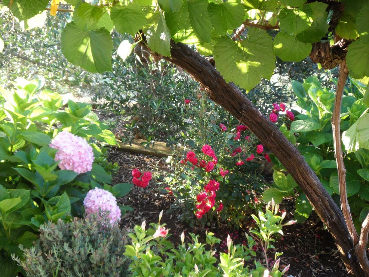 Adrian'S Apartments & Winery لومباردا المظهر الخارجي الصورة