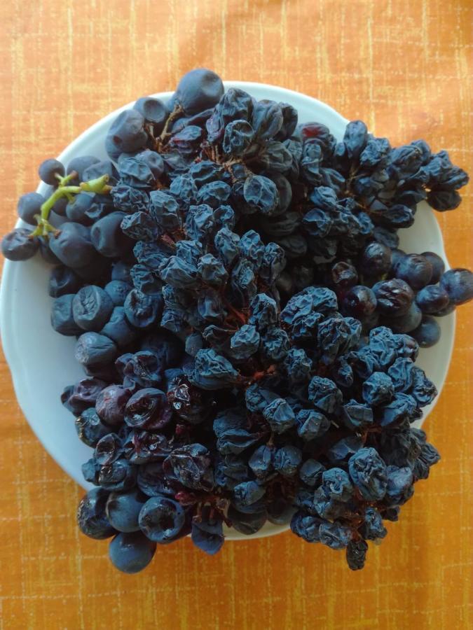 Adrian'S Apartments & Winery لومباردا المظهر الخارجي الصورة